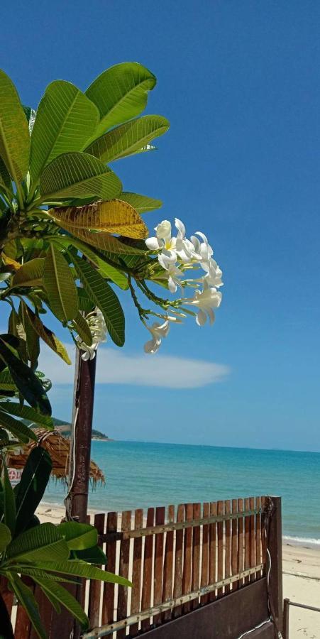 Lipa Bay Resort Lipa Noi Exteriör bild